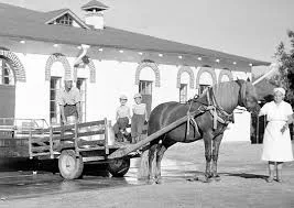 Hevoskärry historiakuvassa